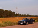 P8036295_1.jpg