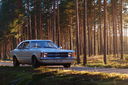 P9028335_1.jpg