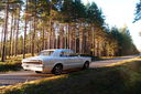 P9028351_1.jpg