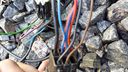20150530_121940.jpg