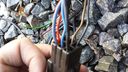 20150530_121953.jpg