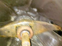 CAM00372.jpg