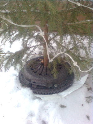 EipÃ¤ kaadu ulkona joulukuusi tÃ¤nÃ¤kÃ¤Ã¤n vuonna
