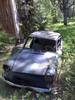 03062007617.jpg