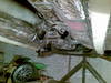 04102008.jpg