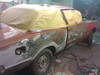 06012010174.jpg