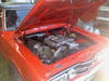 06062009307.jpg