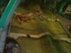 Tiedostonimi=100520101677.jpg
Tiedostokoko=88kt
Koko=1024x768
Lisätty=%15.%05.%2010 100520101677.jpg