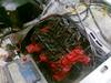 14052011367.jpg