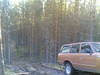20102006(001).jpg