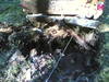 20102006(006).jpg