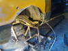 20122007380.jpg