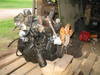 21.5.2005_002.jpg