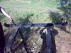 Tiedostonimi=26082010197.jpg
Tiedostokoko=239kt
Koko=1024x768
Lisätty=%28.%08.%2010 26082010197.jpg