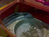 28112007188.jpg