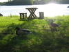 Apianlahti_10-11_6_2006_051.jpg