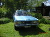 Apianlahti_2010_006.jpg