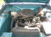 CIMG5485.JPG