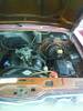 DSC00006.JPG