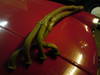 DSC00121.JPG