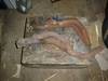 DSC01548_3.jpg