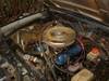 DSC01558_3.jpg