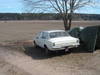 DSCF0883.JPG