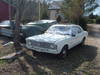 DSCF0884.JPG