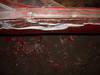 DSCN0255.JPG