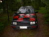 Tiedostonimi=DSCN1104.JPG
Tiedostokoko=165kt
Koko=1024x768
Lisätty=%20.%06.%2008 DSCN1104.JPG