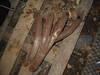 DSCN1196.JPG