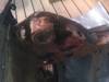 IMAG0799.jpg