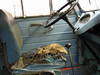 Tiedostonimi=IMG_0905.JPG
Tiedostokoko=111kt
Koko=1024x768
Lisätty=%03.%06.%2006 IMG_0905.JPG