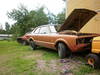 P1000098~0.JPG