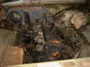 Suc54519.jpg