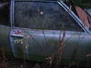 Suc54520.jpg