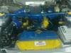 capri9.jpg