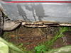 Tiedostonimi=ilona_020.JPG
Tiedostokoko=84kt
Koko=640x480
Lisätty=%07.%10.%2009 ilona_020.JPG
