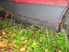Tiedostonimi=ilona_026.JPG
Tiedostokoko=100kt
Koko=640x480
Lisätty=%07.%10.%2009 ilona_026.JPG