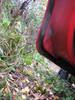Tiedostonimi=ilona_027.JPG
Tiedostokoko=95kt
Koko=480x640
Lisätty=%07.%10.%2009 ilona_027.JPG