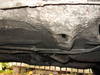 Tiedostonimi=lattia_010.JPG
Tiedostokoko=72kt
Koko=640x480
Lisätty=%14.%10.%2009 lattia_010.JPG