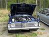 leinmaen_harrasteauto_tapahtuma_174ggg.jpg
