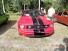 leinmaen_harrasteauto_tapahtuma_179ggg.jpg