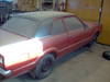 taunus3.jpg
