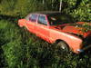 Tiedostonimi=taunus_007~0.jpg
Tiedostokoko=232kt
Koko=1024x768
Lisätty=%19.%08.%2007 taunus_007~0.jpg