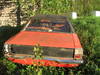 taunus_011.jpg